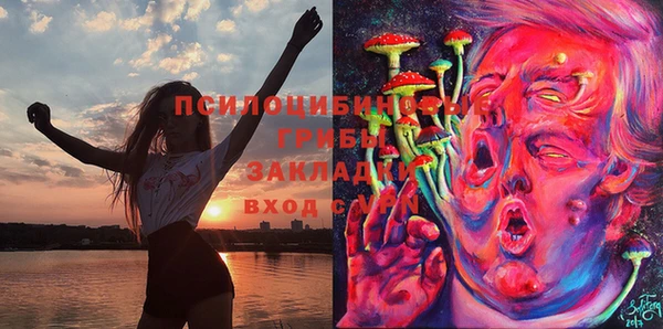 мескалин Белокуриха