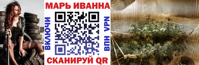Бошки марихуана THC 21%  Волосово 